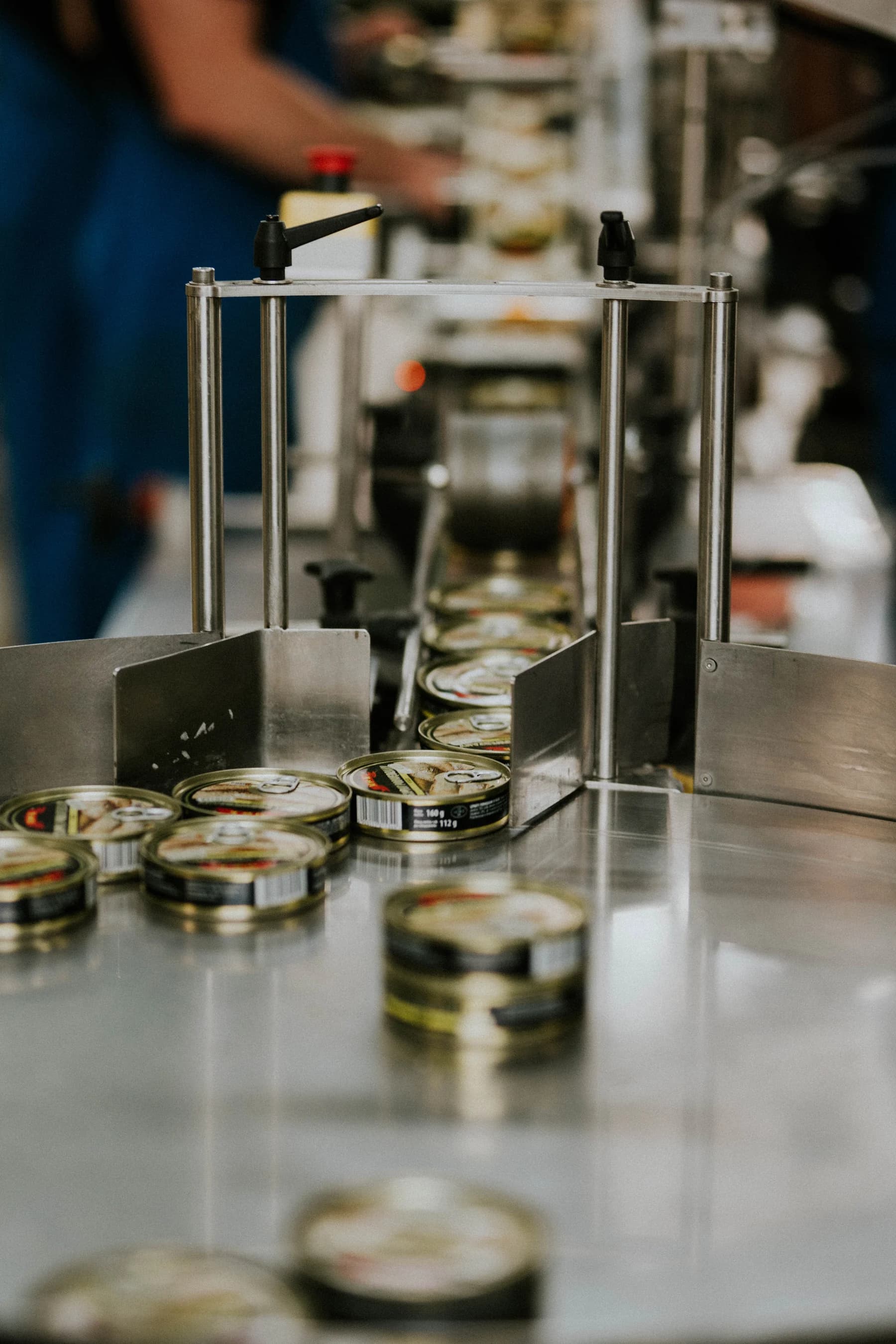 Diplomats canned seafood moving through the packaging line in Engure
