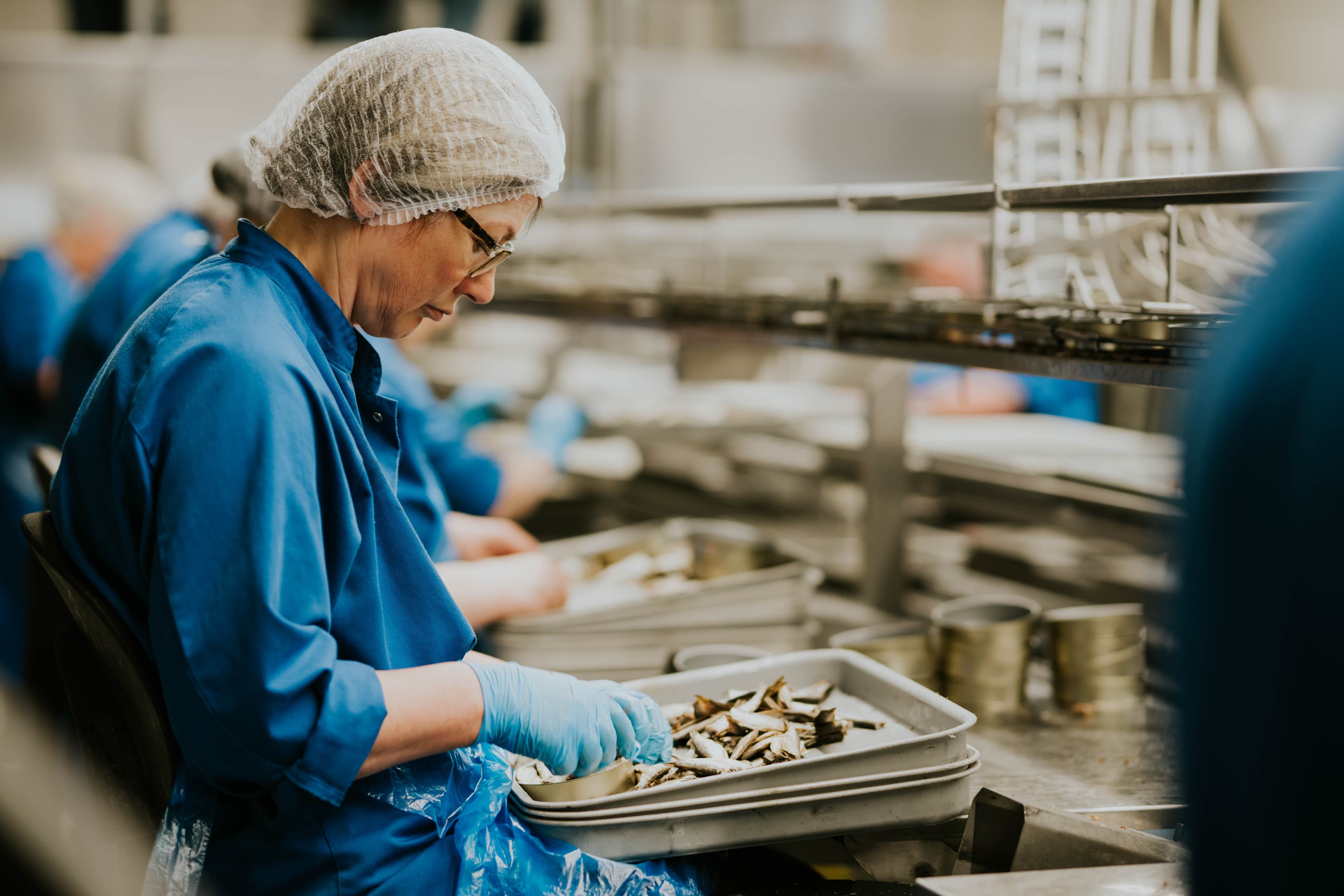 An experienced SIA Unda employee preparing sprats by hand in Engure