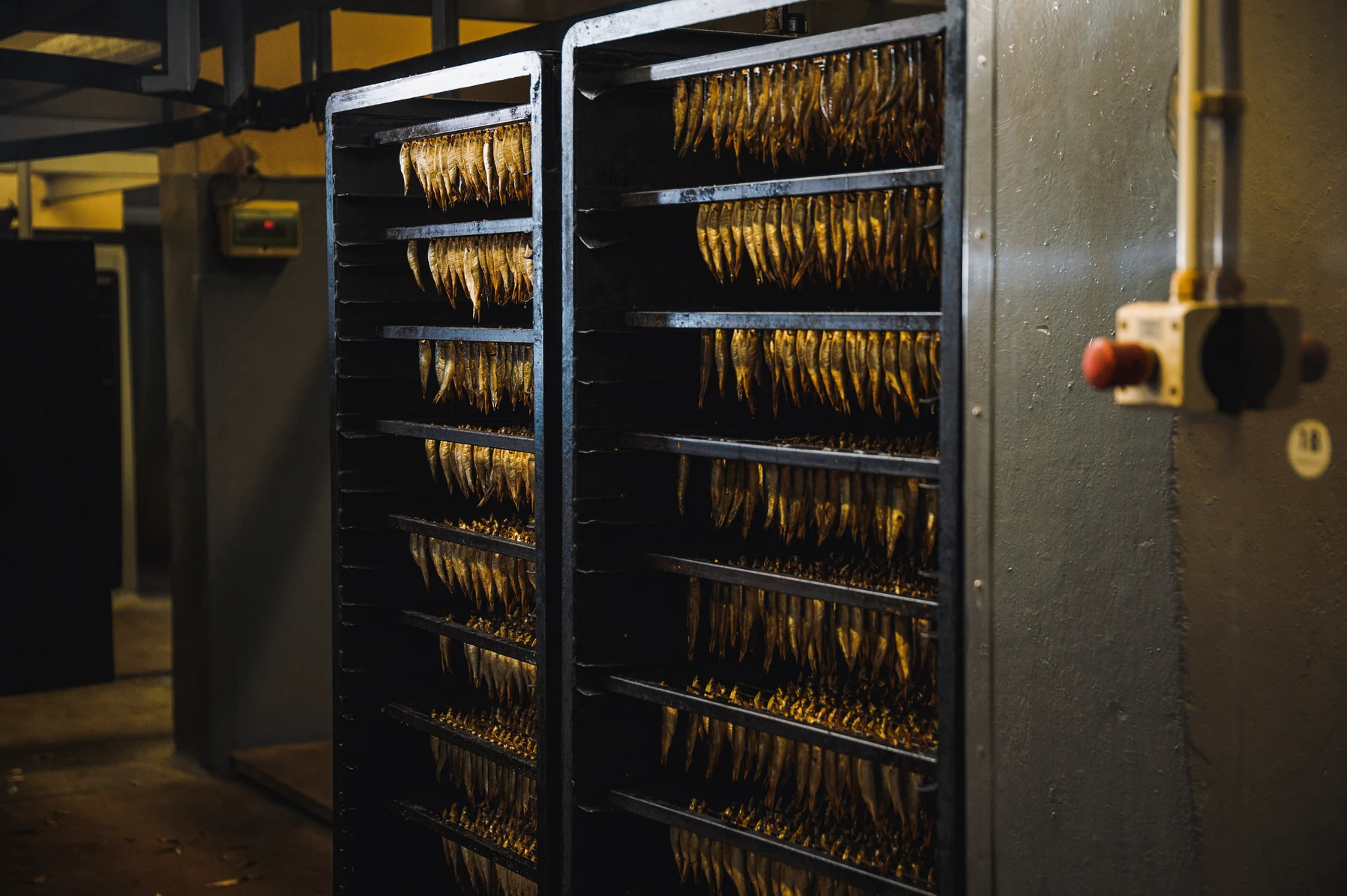 Racks of sprats beside the smoking equipment at the SIA Unda production site in Engure
